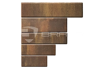 Тротуарная плитка BRAER Домино, Color Mix Сафари, 60 мм